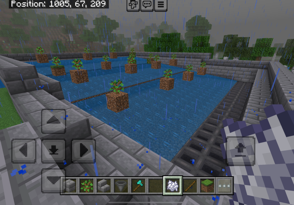 This image is another Minecraft screenshot showing a player using bonemeal while standing next to a grid of dirt blocks with saplings planted on top. The area is flooded with water, and it is raining in the game. The player appears to be working on a tree farm, likely trying to grow trees with the use of bonemeal. The position coordinates at the top show "Position: 1005, 67, 209," and the on-screen mobile controls are visible. The player's hotbar shows items like a sapling, stone bricks, a hopper, a diamond axe, and grass blocks